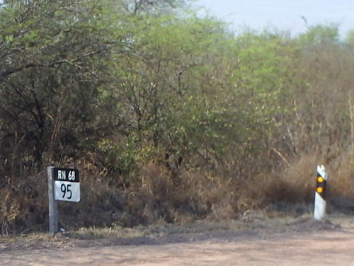 From here we have 95k to the town limit of Cafayate.